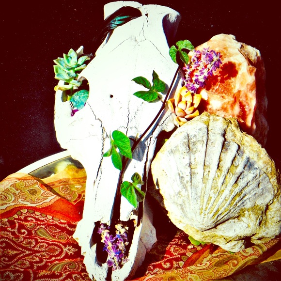 🧿ItsybitsyGypsy🧿 - Picture 3 of 10